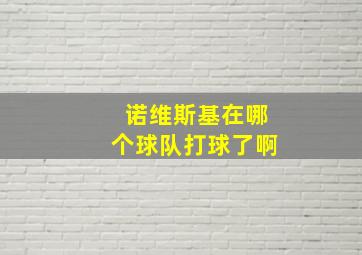 诺维斯基在哪个球队打球了啊