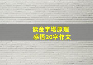 读金字塔原理感悟20字作文