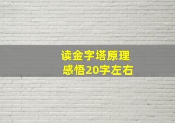 读金字塔原理感悟20字左右