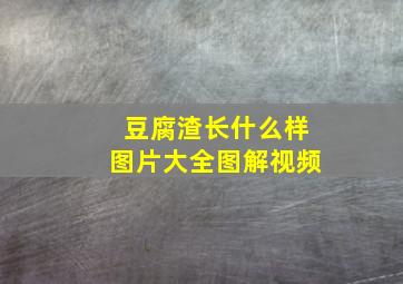 豆腐渣长什么样图片大全图解视频