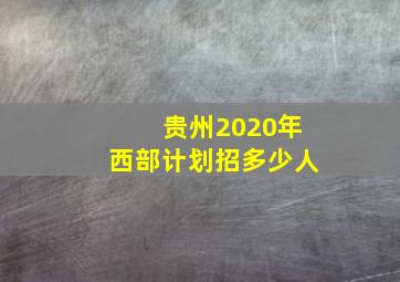 贵州2020年西部计划招多少人