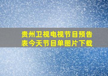 贵州卫视电视节目预告表今天节目单图片下载