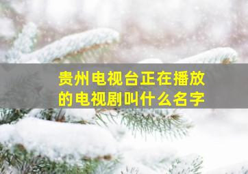 贵州电视台正在播放的电视剧叫什么名字