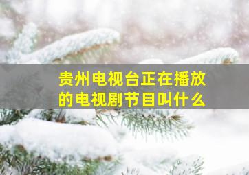 贵州电视台正在播放的电视剧节目叫什么