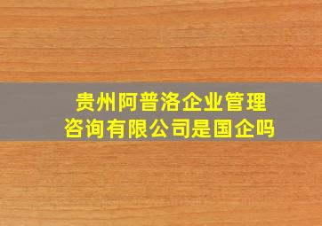 贵州阿普洛企业管理咨询有限公司是国企吗