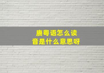 赓粤语怎么读音是什么意思呀