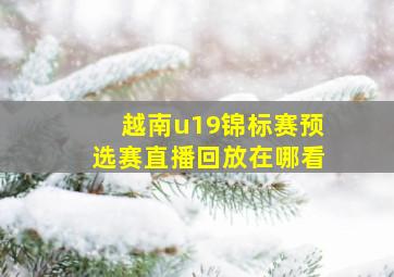 越南u19锦标赛预选赛直播回放在哪看