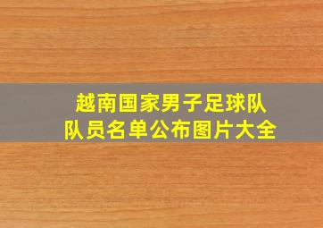 越南国家男子足球队队员名单公布图片大全