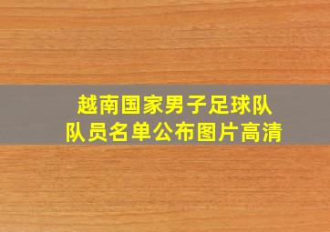 越南国家男子足球队队员名单公布图片高清