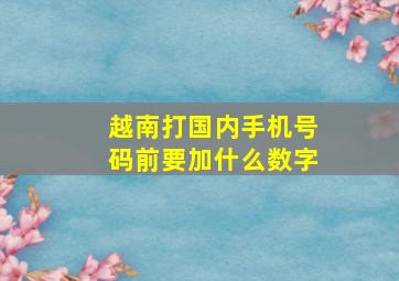 越南打国内手机号码前要加什么数字