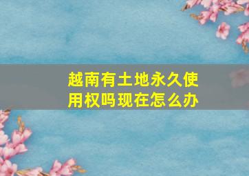 越南有土地永久使用权吗现在怎么办