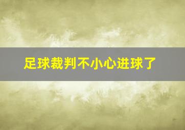 足球裁判不小心进球了