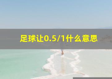 足球让0.5/1什么意思