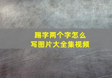 踢字两个字怎么写图片大全集视频