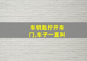 车钥匙拧开车门,车子一直叫