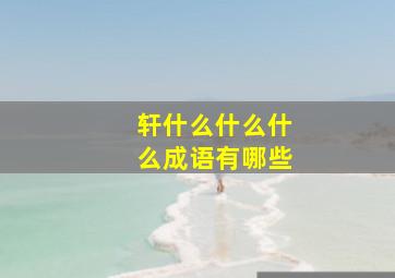 轩什么什么什么成语有哪些