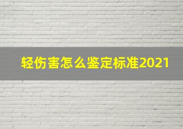 轻伤害怎么鉴定标准2021