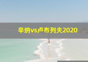 辛纳vs卢布列夫2020