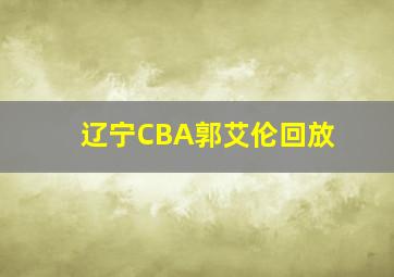 辽宁CBA郭艾伦回放