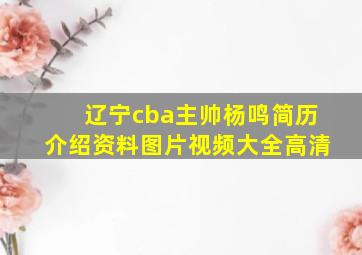 辽宁cba主帅杨鸣简历介绍资料图片视频大全高清