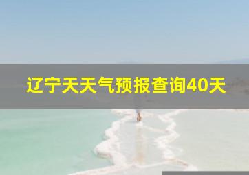 辽宁天天气预报查询40天