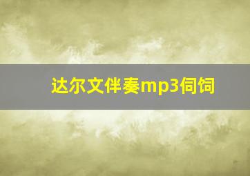 达尔文伴奏mp3伺饲