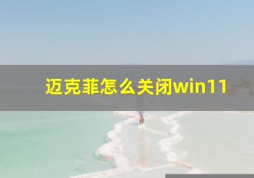 迈克菲怎么关闭win11