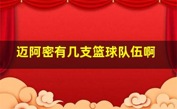 迈阿密有几支篮球队伍啊