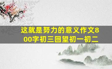 这就是努力的意义作文800字初三回望初一初二