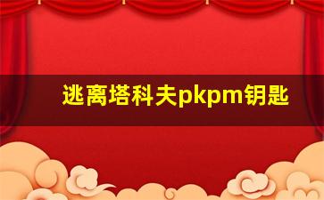 逃离塔科夫pkpm钥匙