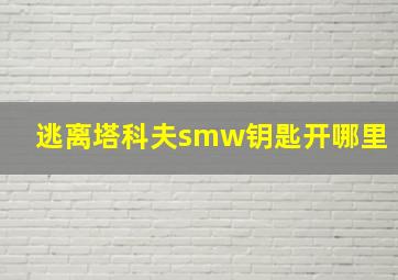 逃离塔科夫smw钥匙开哪里