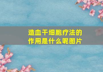 造血干细胞疗法的作用是什么呢图片