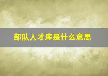 部队人才库是什么意思