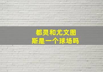 都灵和尤文图斯是一个球场吗