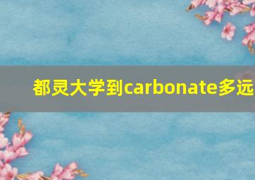 都灵大学到carbonate多远