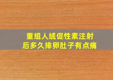 重组人绒促性素注射后多久排卵肚子有点痛