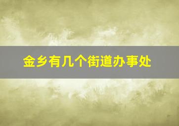 金乡有几个街道办事处