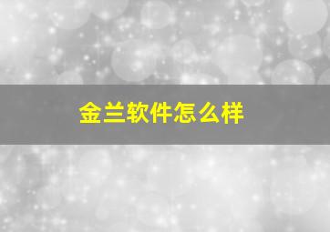 金兰软件怎么样