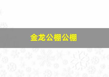 金龙公棚公棚