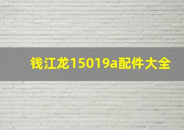 钱江龙15019a配件大全