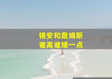 锡安和詹姆斯谁高谁矮一点