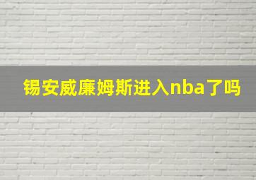 锡安威廉姆斯进入nba了吗