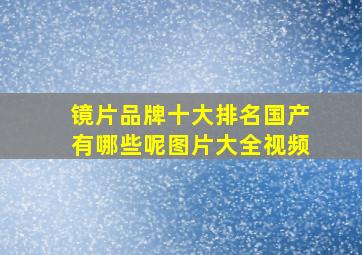 镜片品牌十大排名国产有哪些呢图片大全视频