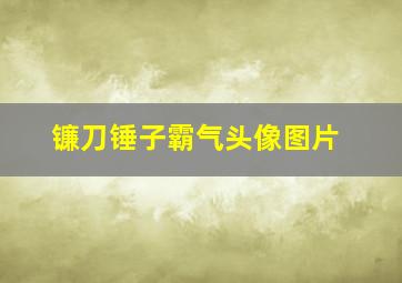 镰刀锤子霸气头像图片