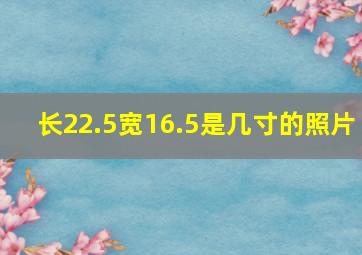 长22.5宽16.5是几寸的照片