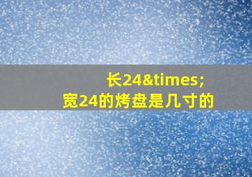 长24×宽24的烤盘是几寸的