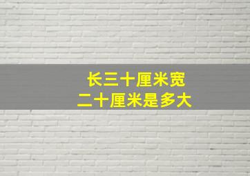 长三十厘米宽二十厘米是多大