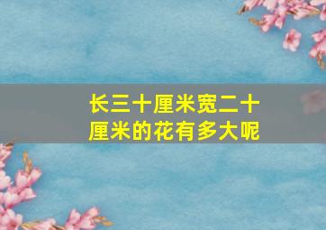 长三十厘米宽二十厘米的花有多大呢