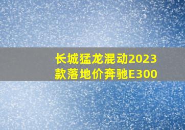 长城猛龙混动2023款落地价奔驰E300