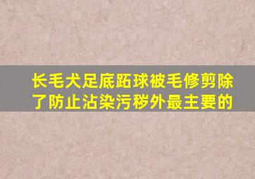 长毛犬足底跖球被毛修剪除了防止沾染污秽外最主要的